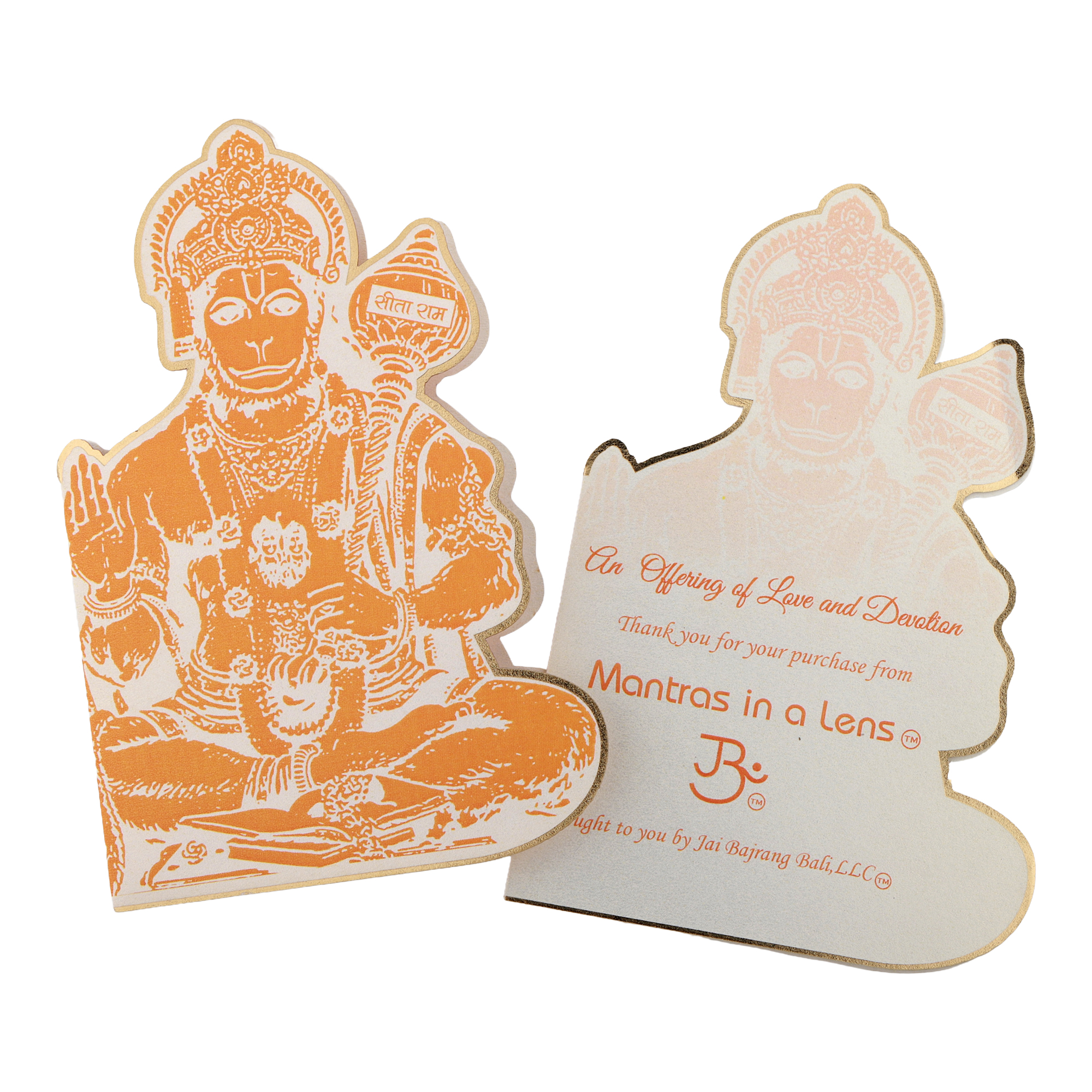 8th image description